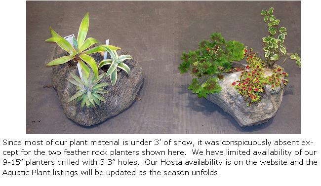 FeatherRock planters
